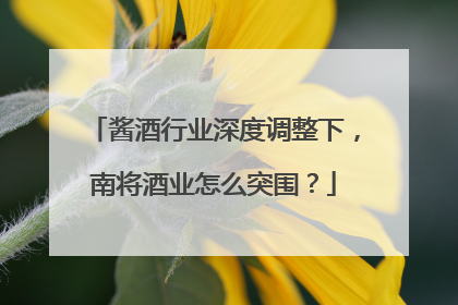 酱酒行业深度调整下，南将酒业怎么突围？