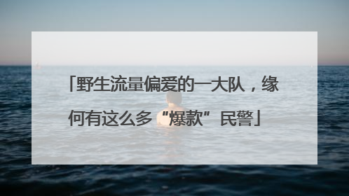 野生流量偏爱的一大队，缘何有这么多“爆款”民警