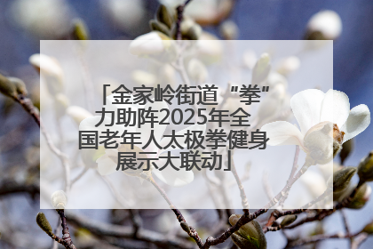 金家岭街道“拳”力助阵2025年全国老年人太极拳健身展示大联动