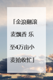 金浪翻滚麦飘香 乐至4万亩小麦抢收忙