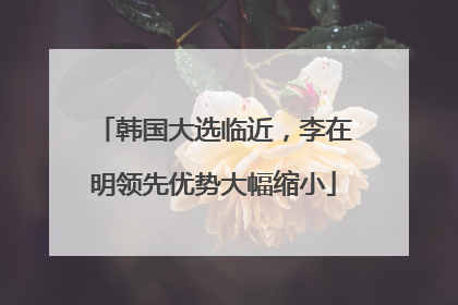 韩国大选临近，李在明领先优势大幅缩小