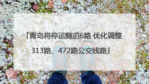 青岛将停运隧道6路 优化调整313路、472路公交线路