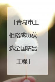 青岛市王相路成功获选全国精品工程
