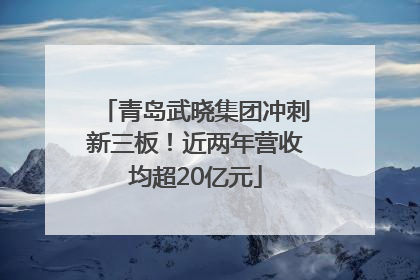 青岛武晓集团冲刺新三板！近两年营收均超20亿元