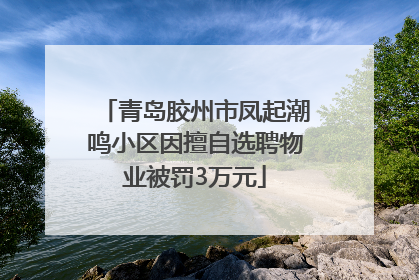 青岛胶州市凤起潮鸣小区因擅自选聘物业被罚3万元