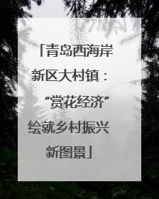 青岛西海岸新区大村镇：“赏花经济”绘就乡村振兴新图景