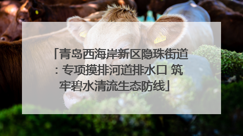 青岛西海岸新区隐珠街道：专项摸排河道排水口 筑牢碧水清流生态防线