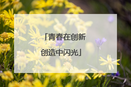 青春在创新创造中闪光