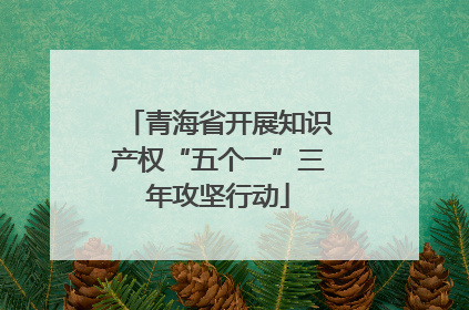 青海省开展知识产权“五个一”三年攻坚行动