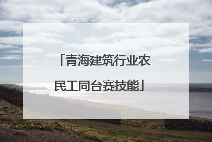青海建筑行业农民工同台赛技能