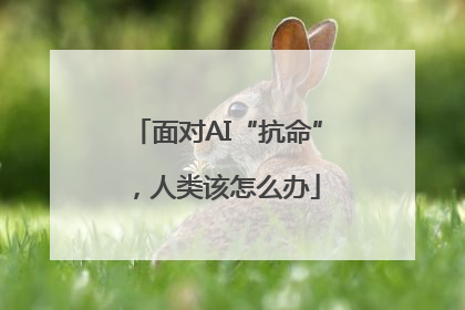面对AI“抗命”，人类该怎么办