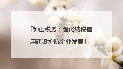 钟山税务：强化纳税信用建设护航企业发展