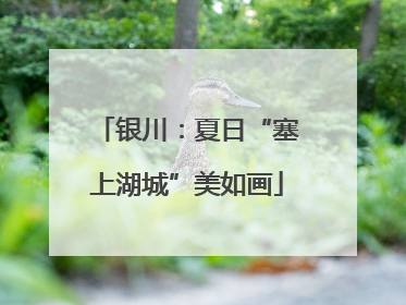 银川：夏日“塞上湖城”美如画