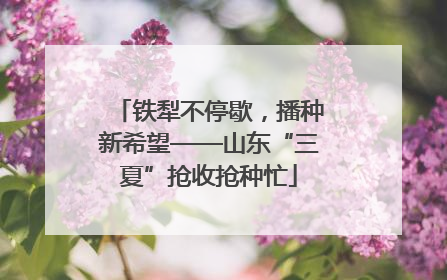 铁犁不停歇，播种新希望——山东“三夏”抢收抢种忙