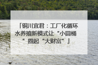 铜川宜君：工厂化循环水养殖新模式让“小圆桶”圈起“大财富”