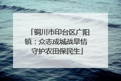 铜川市印台区广阳镇：众志成城战旱情 守护农田保民生