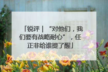锐评｜“对他们，我们要有战略耐心”，任正非给谁提了醒