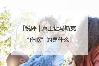 锐评｜真正让马斯克“作呕”的是什么