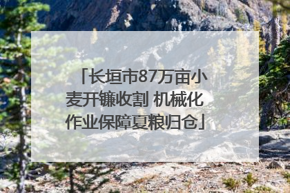 长垣市87万亩小麦开镰收割 机械化作业保障夏粮归仓