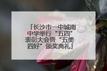 长沙市一中城南中学举行“五四”表彰大会暨“五美四好”颁奖典礼