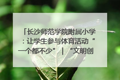 长沙师范学院附属小学：让学生参与体育活动“一个都不少”｜“文明创建耀三湘”专栏