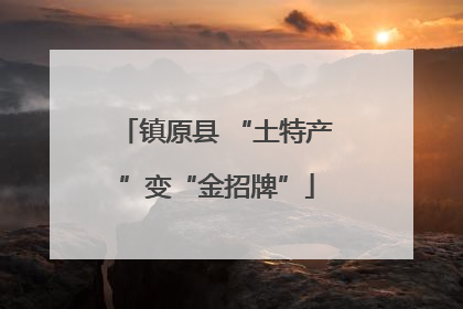 镇原县 “土特产”变“金招牌”