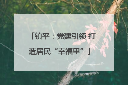 镇平：党建引领 打造居民“幸福里”