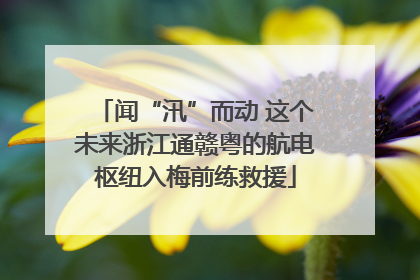 闻“汛”而动 这个未来浙江通赣粤的航电枢纽入梅前练救援