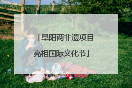 阜阳两非遗项目亮相国际文化节