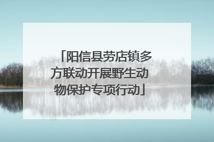 阳信县劳店镇多方联动开展野生动物保护专项行动