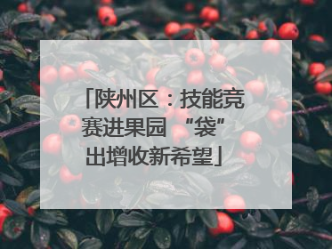 陕州区：技能竞赛进果园 “袋”出增收新希望
