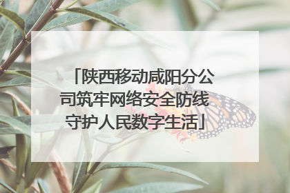 陕西移动咸阳分公司筑牢网络安全防线守护人民数字生活