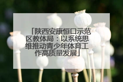 陕西安康恒口示范区教体局：以系统思维推动青少年体育工作高质量发展