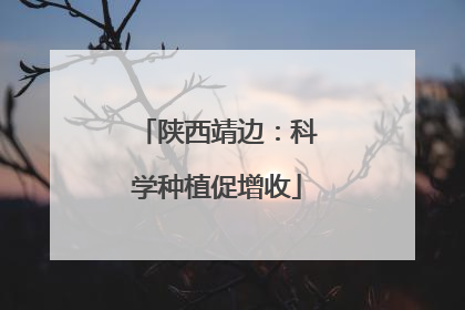 陕西靖边：科学种植促增收