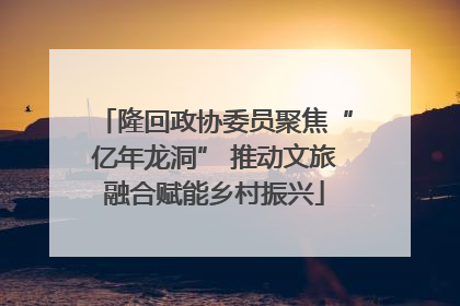 隆回政协委员聚焦“亿年龙洞” 推动文旅融合赋能乡村振兴