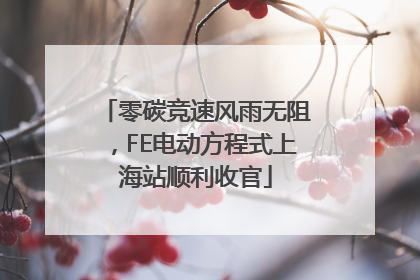 零碳竞速风雨无阻，FE电动方程式上海站顺利收官