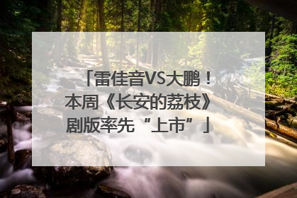 雷佳音VS大鹏！本周《长安的荔枝》剧版率先“上市”