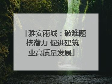 雅安雨城：破难题 挖潜力 促进建筑业高质量发展