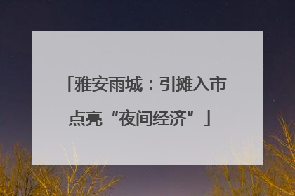 雅安雨城：引摊入市 点亮“夜间经济”