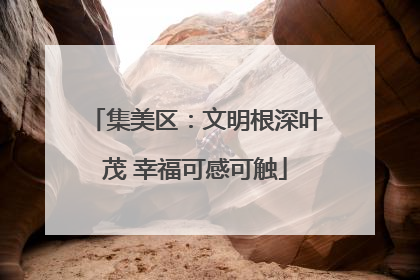 集美区：文明根深叶茂 幸福可感可触