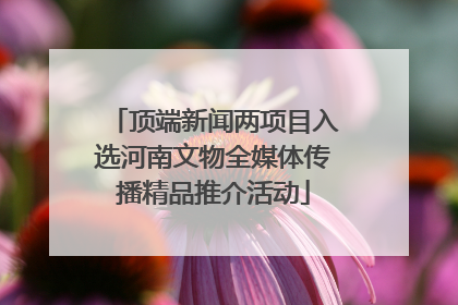 顶端新闻两项目入选河南文物全媒体传播精品推介活动