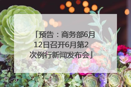 预告：商务部6月12日召开6月第2次例行新闻发布会