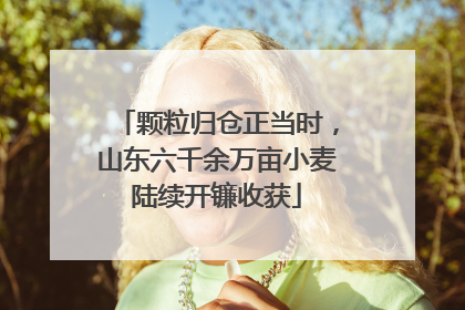 颗粒归仓正当时，山东六千余万亩小麦陆续开镰收获