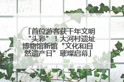 首位游客获千年文明“头彩”！大河村遗址博物馆新馆“文化和自然遗产日”璀璨启幕