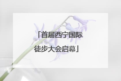 首届西宁国际徒步大会启幕