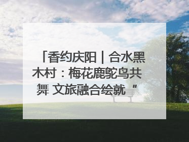 香约庆阳｜合水黑木村：梅花鹿鸵鸟共舞 文旅融合绘就“诗与远方”