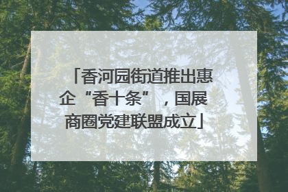 香河园街道推出惠企“香十条”，国展商圈党建联盟成立