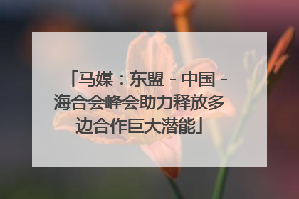 马媒：东盟－中国－海合会峰会助力释放多边合作巨大潜能