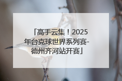 高手云集！2025年台克球世界系列赛-德州齐河站开赛
