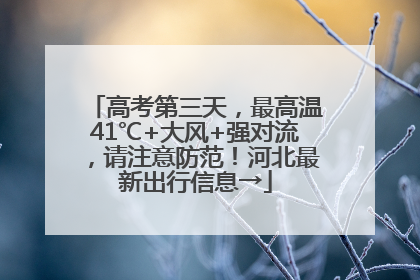 高考第三天，最高温41℃+大风+强对流，请注意防范！河北最新出行信息→